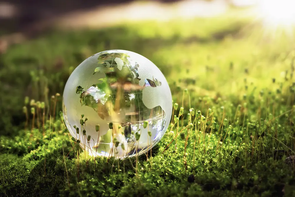 Utilizziamo solo prodotti sostenibili per l'ambiente - Il Lauro Usiamo prodotti sostenibili per l'ambiente - Il Lauro